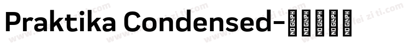 Praktika Condensed字体转换